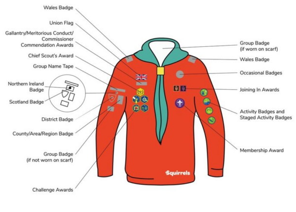 1_squirrel_uniform_diagrams_sept2021_portrait_1024x878